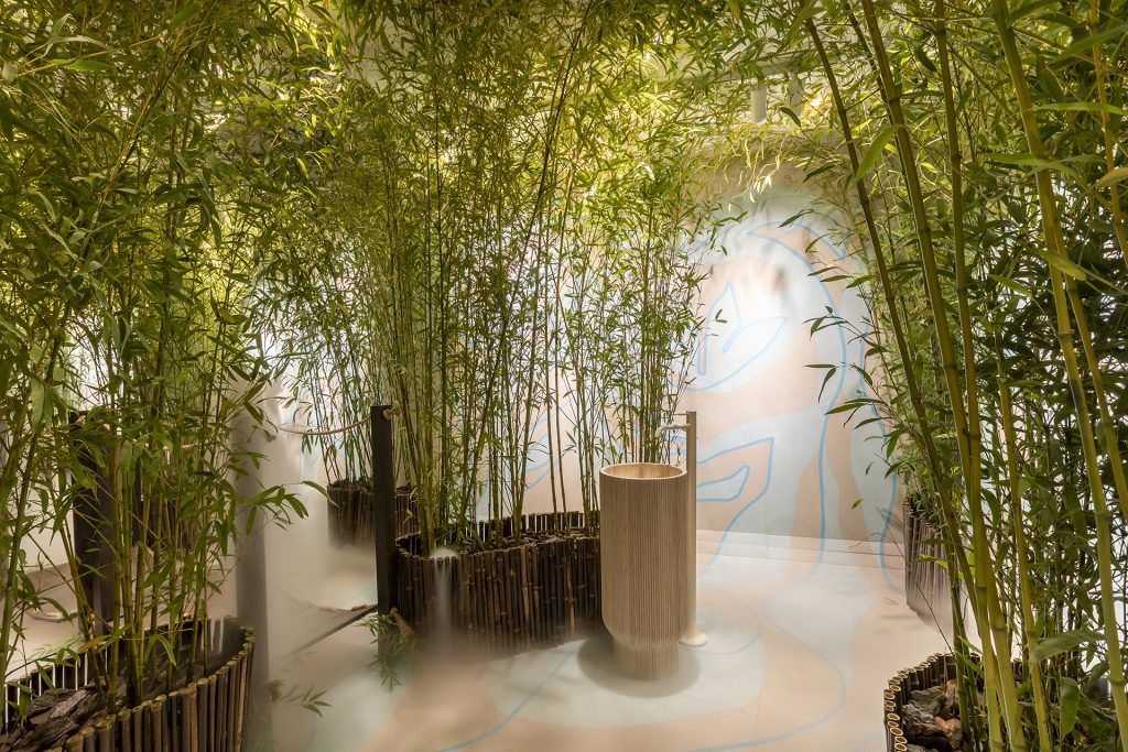 Kalasin Forest, a walk in the forest