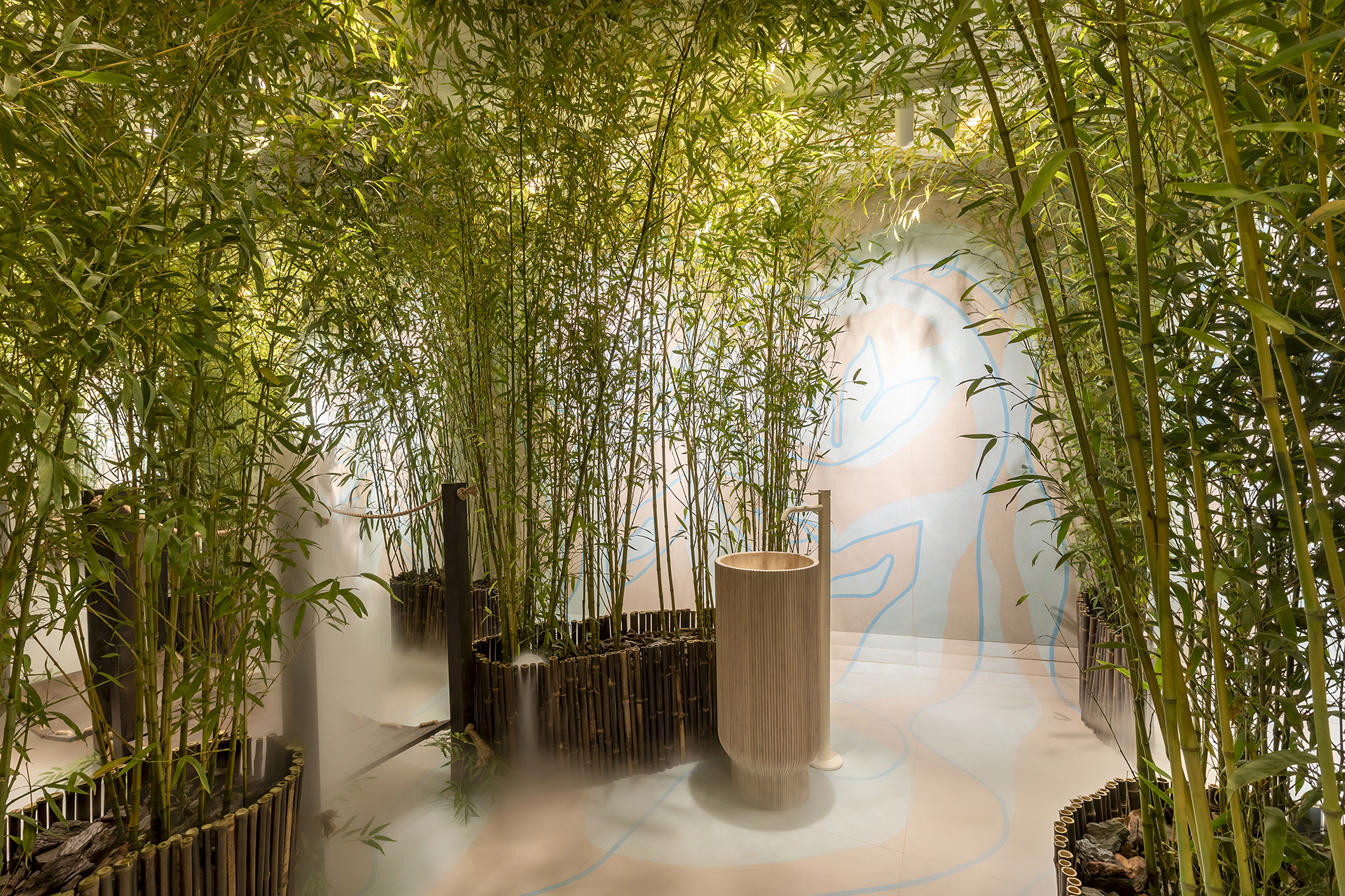 Kalasin Forest, a walk in the woods.